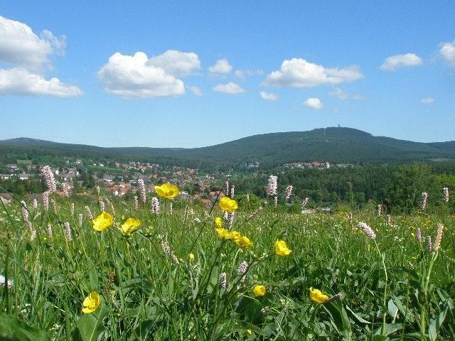 Harzpension Haus Koenigskopf ブラウンラーゲ エクステリア 写真